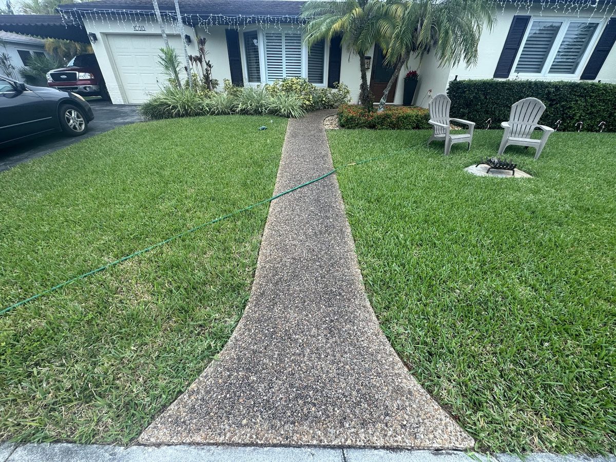 Front walkway and lawn edge, freshly washed